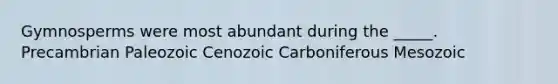 Gymnosperms were most abundant during the _____. Precambrian Paleozoic Cenozoic Carboniferous Mesozoic