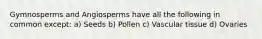 Gymnosperms and Angiosperms have all the following in common except: a) Seeds b) Pollen c) Vascular tissue d) Ovaries