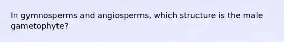 In gymnosperms and angiosperms, which structure is the male gametophyte?