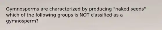 Gymnosperms are characterized by producing "naked seeds" which of the following groups is NOT classified as a gymnosperm?