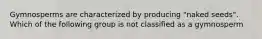 Gymnosperms are characterized by producing "naked seeds". Which of the following group is not classified as a gymnosperm