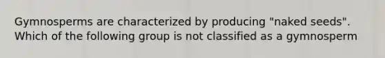 Gymnosperms are characterized by producing "naked seeds". Which of the following group is not classified as a gymnosperm