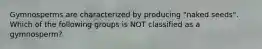Gymnosperms are characterized by producing "naked seeds". Which of the following groups is NOT classified as a gymnosperm?