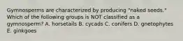 Gymnosperms are characterized by producing "naked seeds." Which of the following groups is NOT classified as a gymnosperm? A. horsetails B. cycads C. conifers D. gnetophytes E. ginkgoes