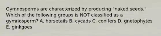 Gymnosperms are characterized by producing "naked seeds." Which of the following groups is NOT classified as a gymnosperm? A. horsetails B. cycads C. conifers D. gnetophytes E. ginkgoes