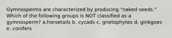 Gymnosperms are characterized by producing "naked seeds." Which of the following groups is NOT classified as a gymnosperm? a.horsetails b. cycads c. gnetophytes d. ginkgoes e. conifers