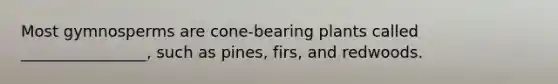 Most gymnosperms are cone-bearing plants called ________________, such as pines, firs, and redwoods.