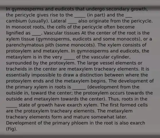 In gymnosperms and eudicots that undergo secondary growth, the pericycle gives rise to the _____ (in part) and the ___ cambium (usually). Lateral ____ also originate from the pericycle. In monocot roots, the cells of the pericycle often become lignified as ____. Vascular tissues At the center of the root is the xylem tissue (gymnosperms, eudicots and some monocots), or a parenchymatous pith (some monocots). The xylem consists of protoxylem and metaxylem. In gymnosperms and eudicots, the metaxylem is in the very _____ of the vascular cylinder, surrounded by the protoxylem. The large vessel elements or tracheids in the center are metaxylem tracheary elements. It is essentially impossible to draw a distinction between where the protoxylem ends and the metaxylem begins. The development of the primary xylem in roots is ______ (development from the outside in, toward the center; the protoxylem occurs towards the outside and metaxylem towards the center). Thus, roots in the _____ state of growth have exarch xylem. The first formed cells are the protoxylem tracheary elements. The metaxylem tracheary elements form and mature somewhat later. Development of the primary phloem in the root is also exarch (Fig).