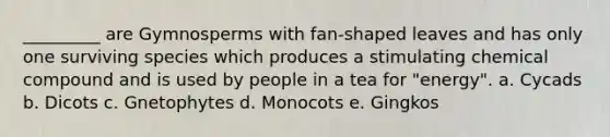 _________ are Gymnosperms with fan-shaped leaves and has only one surviving species which produces a stimulating chemical compound and is used by people in a tea for "energy". a. Cycads b. Dicots c. Gnetophytes d. Monocots e. Gingkos