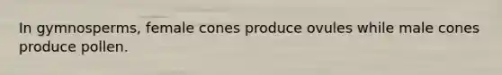 In gymnosperms, female cones produce ovules while male cones produce pollen.