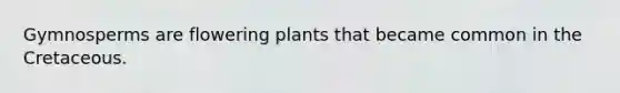 Gymnosperms are flowering plants that became common in the Cretaceous.