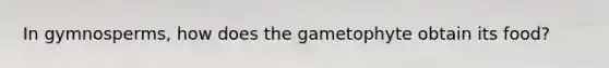 In gymnosperms, how does the gametophyte obtain its food?