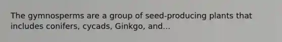 The gymnosperms are a group of seed‑producing plants that includes conifers, cycads, Ginkgo, and...