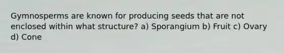 Gymnosperms are known for producing seeds that are not enclosed within what structure? a) Sporangium b) Fruit c) Ovary d) Cone