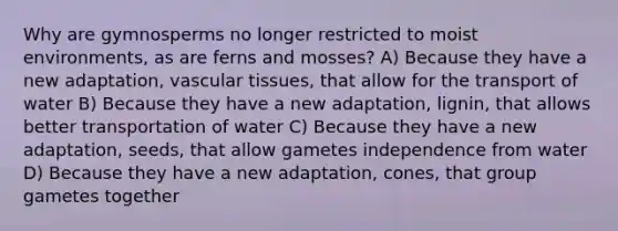 Why are gymnosperms no longer restricted to moist environments, as are ferns and mosses? A) Because they have a new adaptation, <a href='https://www.questionai.com/knowledge/k1HVFq17mo-vascular-tissue' class='anchor-knowledge'>vascular tissue</a>s, that allow for the transport of water B) Because they have a new adaptation, lignin, that allows better transportation of water C) Because they have a new adaptation, seeds, that allow gametes independence from water D) Because they have a new adaptation, cones, that group gametes together