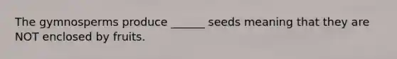 The gymnosperms produce ______ seeds meaning that they are NOT enclosed by fruits.