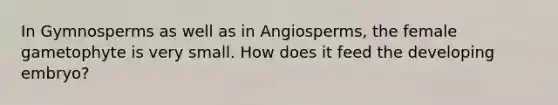 In Gymnosperms as well as in Angiosperms, the female gametophyte is very small. How does it feed the developing embryo?