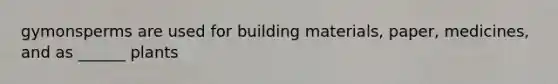 gymonsperms are used for building materials, paper, medicines, and as ______ plants