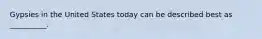 Gypsies in the United States today can be described best as __________.