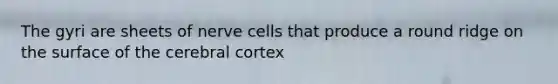 The gyri are sheets of nerve cells that produce a round ridge on the surface of the cerebral cortex