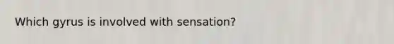 Which gyrus is involved with sensation?