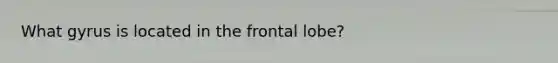 What gyrus is located in the frontal lobe?