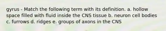 gyrus - Match the following term with its definition. a. hollow space filled with fluid inside the CNS tissue b. neuron cell bodies c. furrows d. ridges e. groups of axons in the CNS