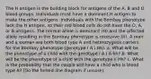 The H antigen is the building block for antigens of the A, B and O blood groups. Individuals must have a dominant H antigen to make the other antigens. Individuals with the Bombay phenotype lack the H antigen, so their red blood cells do not have the O, A, or B antigens. The normal allele is dominant (H) and the affected allele resulting in the Bombay phenotype is recessive (h). A man and a woman are both blood type A and heterozygous carriers for the Bombay phenotype (genotype I A i Hh). a. What will be the phenotype of a child with the genotype I A I A hh? b. What will be the phenotype of a child with the genotype ii Hh? c. What is the probability that the couple will have a child who is blood type A? (Do the forked-line diagram if unsure).