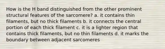 How is the H band distinguished from the other prominent structural features of the sarcomere? a. it contains thin filaments, but no thick filaments b. it connects the central portion of each thick filament c. it is a lighter region that contains thick filaments, but no thin filaments d. it marks the boundary between adjacent sarcomeres