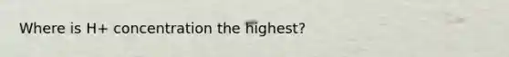 Where is H+ concentration the highest?