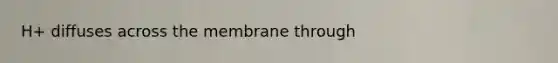 H+ diffuses across the membrane through