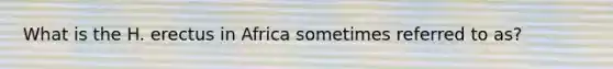 What is the H. erectus in Africa sometimes referred to as?