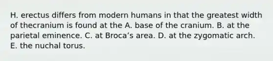 H. erectus differs from modern humans in that the greatest width of thecranium is found at the A. base of the cranium. B. at the parietal eminence. C. at Brocaʼs area. D. at the zygomatic arch. E. the nuchal torus.