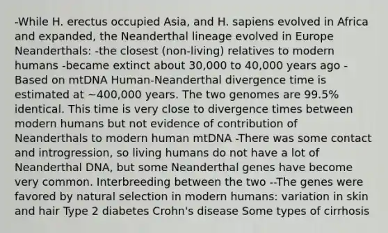 -While H. erectus occupied Asia, and H. sapiens evolved in Africa and expanded, the Neanderthal lineage evolved in Europe Neanderthals: -the closest (non-living) relatives to modern humans -became extinct about 30,000 to 40,000 years ago -Based on mtDNA Human-Neanderthal divergence time is estimated at ~400,000 years. The two genomes are 99.5% identical. This time is very close to divergence times between modern humans but not evidence of contribution of Neanderthals to modern human mtDNA -There was some contact and introgression, so living humans do not have a lot of Neanderthal DNA, but some Neanderthal genes have become very common. Interbreeding between the two --The genes were favored by natural selection in modern humans: variation in skin and hair Type 2 diabetes Crohn's disease Some types of cirrhosis