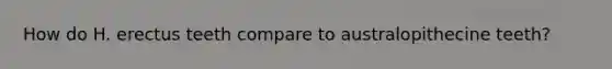 How do H. erectus teeth compare to australopithecine teeth?
