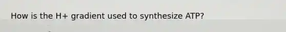 How is the H+ gradient used to synthesize ATP?