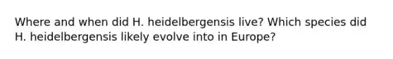 Where and when did H. heidelbergensis live? Which species did H. heidelbergensis likely evolve into in Europe?