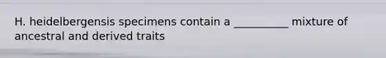 H. heidelbergensis specimens contain a __________ mixture of ancestral and derived traits