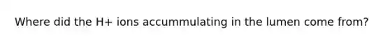 Where did the H+ ions accummulating in the lumen come from?