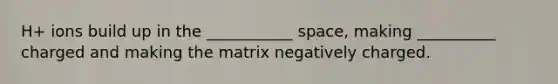 H+ ions build up in the ___________ space, making __________ charged and making the matrix negatively charged.