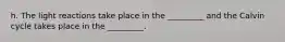 h. The light reactions take place in the _________ and the Calvin cycle takes place in the _________.