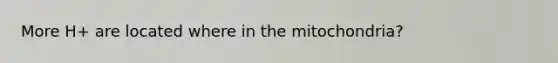 More H+ are located where in the mitochondria?