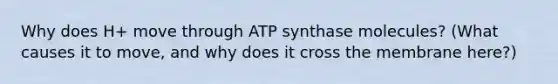 Why does H+ move through ATP synthase molecules? (What causes it to move, and why does it cross the membrane here?)