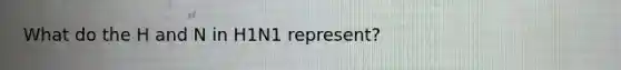 What do the H and N in H1N1 represent?