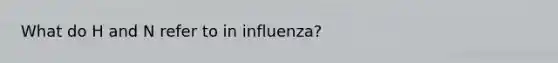 What do H and N refer to in influenza?