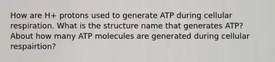 How are H+ protons used to generate ATP during cellular respiration. What is the structure name that generates ATP? About how many ATP molecules are generated during cellular respairtion?