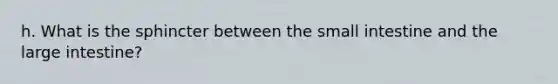 h. What is the sphincter between the small intestine and the large intestine?