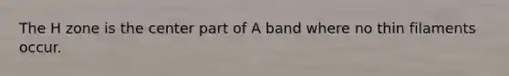 The H zone is the center part of A band where no thin filaments occur.