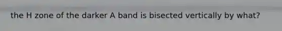 the H zone of the darker A band is bisected vertically by what?