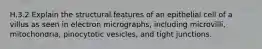 H.3.2 Explain the structural features of an epithelial cell of a villus as seen in electron micrographs, including microvilli, mitochondria, pinocytotic vesicles, and tight junctions.